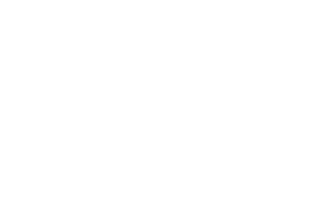 Parama Poland Logo